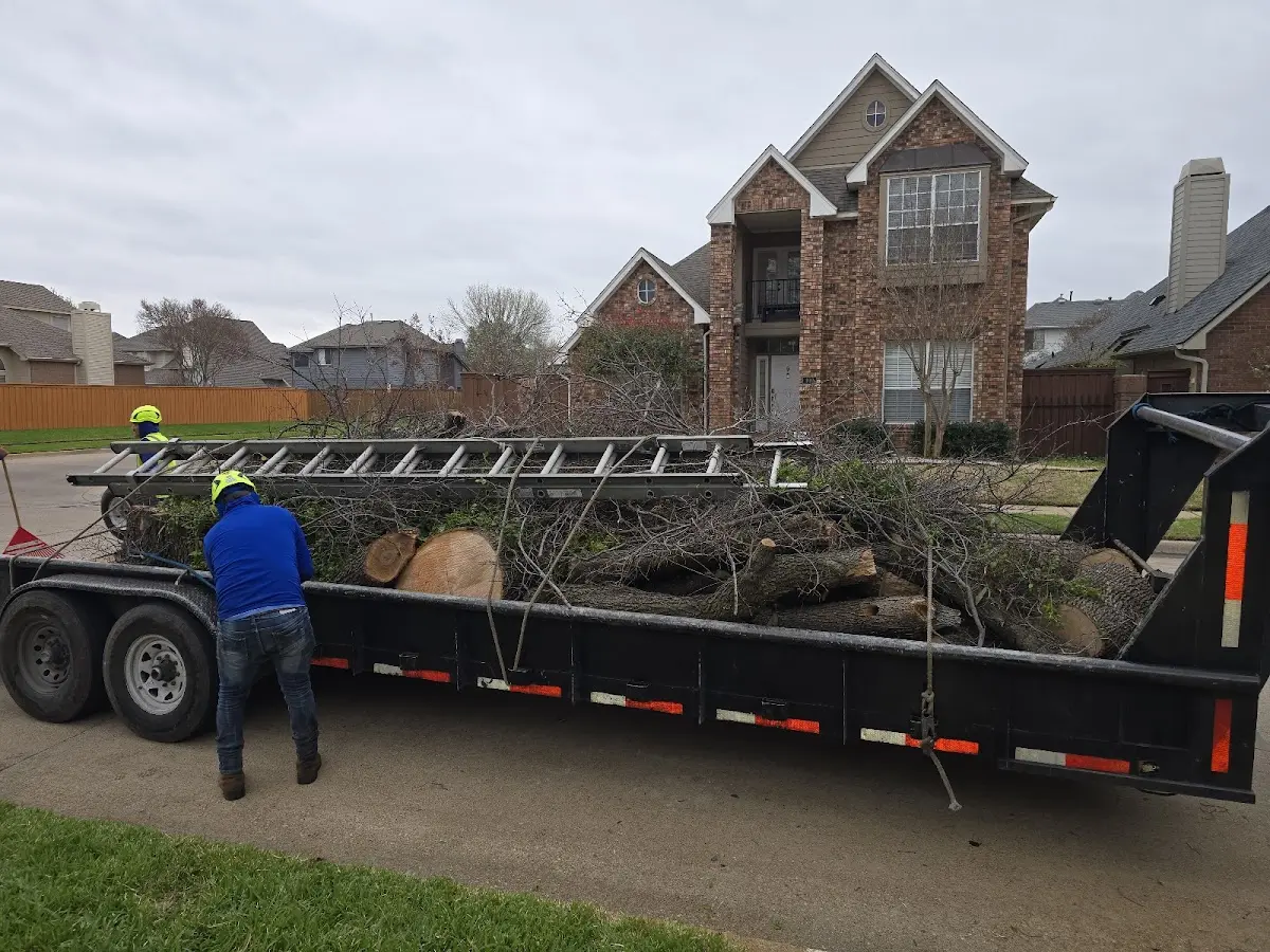 Expert Tree Fertilization with proper safety equipment in University Center
